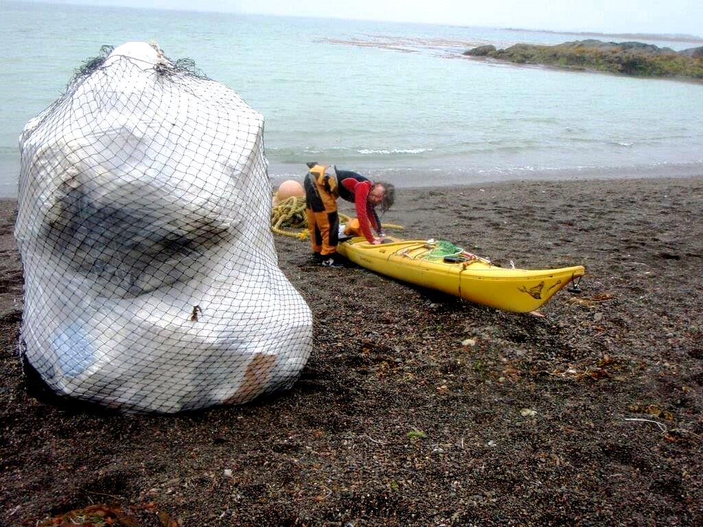 The Great Canadian Shoreline Cleanup Program