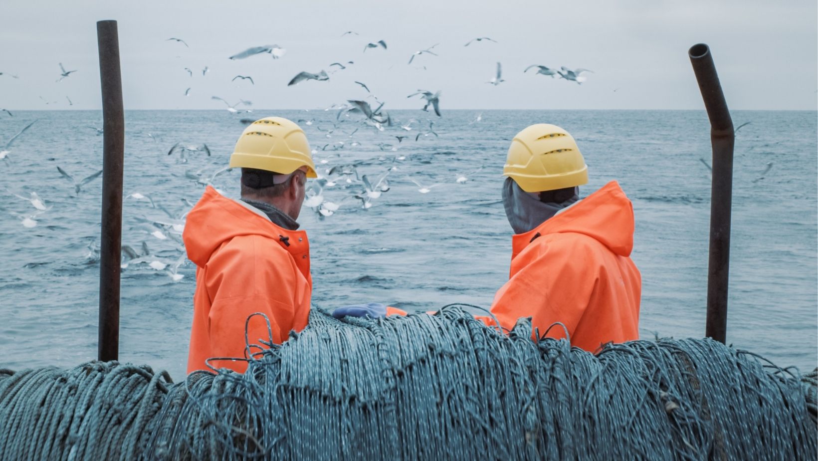 In Too Deep: The Downside of Deep-Sea Fisheries - Ocean Wise