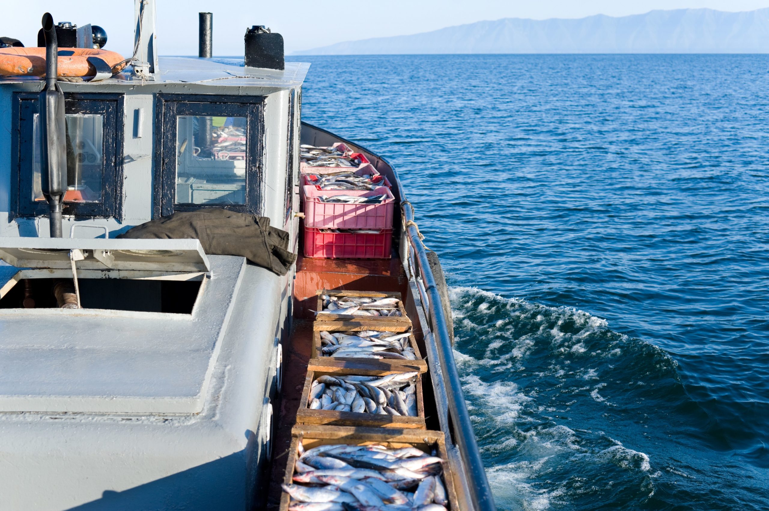 La vogue de la pêche à l'aimant : des déchets plutôt que des poissons