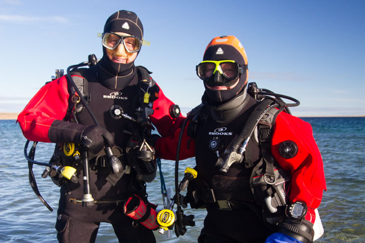 Deux équipes de plongeurs de l'Aquarium identifieront les sites présentant un intérêt particulier ou une sensibilité écologique à Cambridge Bay. 