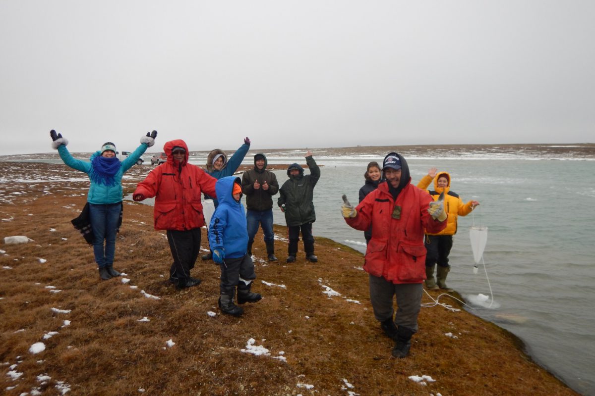 Celebrating Ice Algae on Polar Bear Day - Ocean Wise