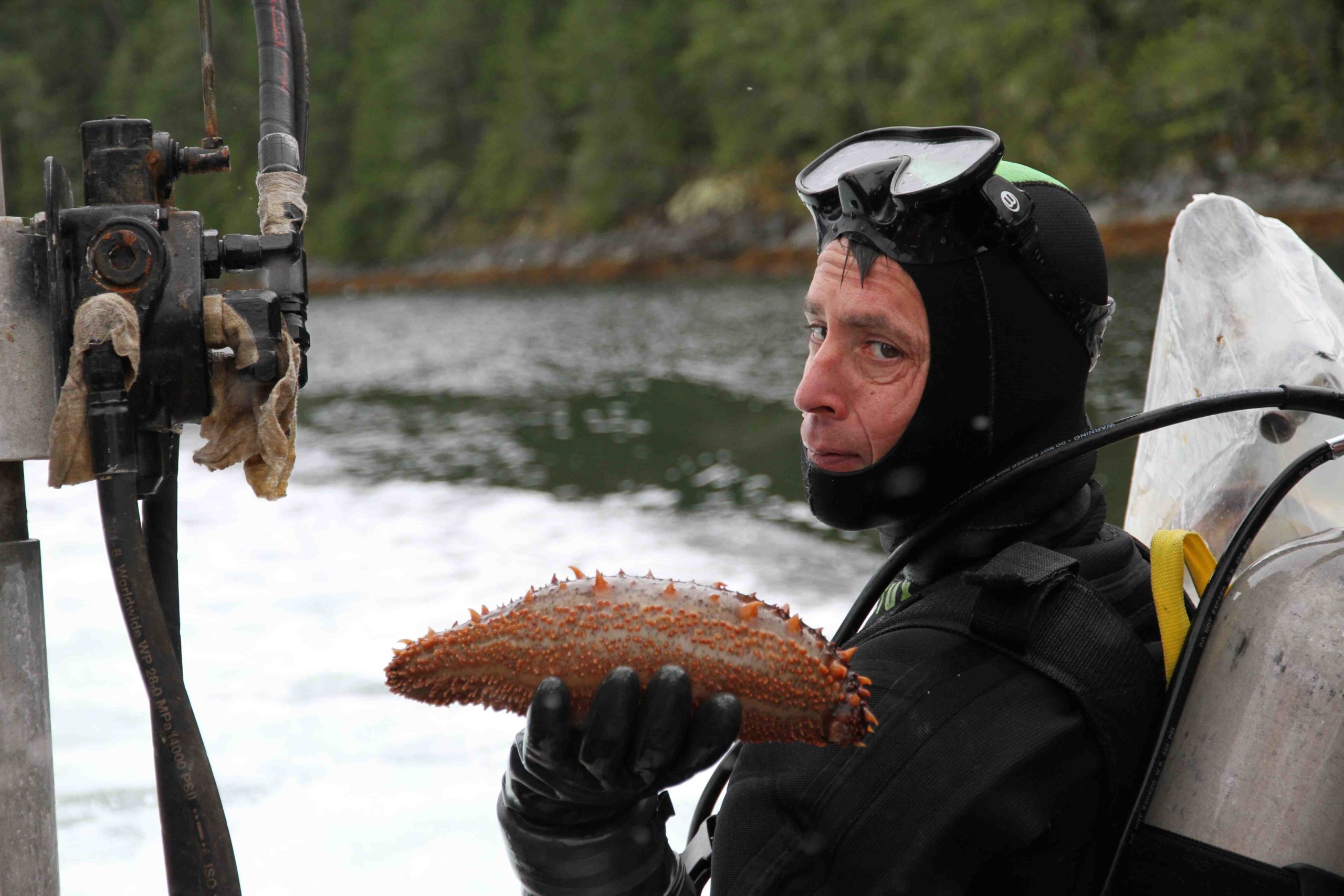 Foraging the Ocean: Hand-harvesting Delicacies - Ocean Wise