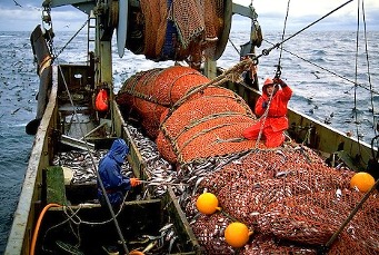 Deep Sea Fishing