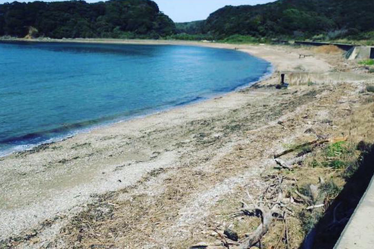 japan-shoreline-before-and-after