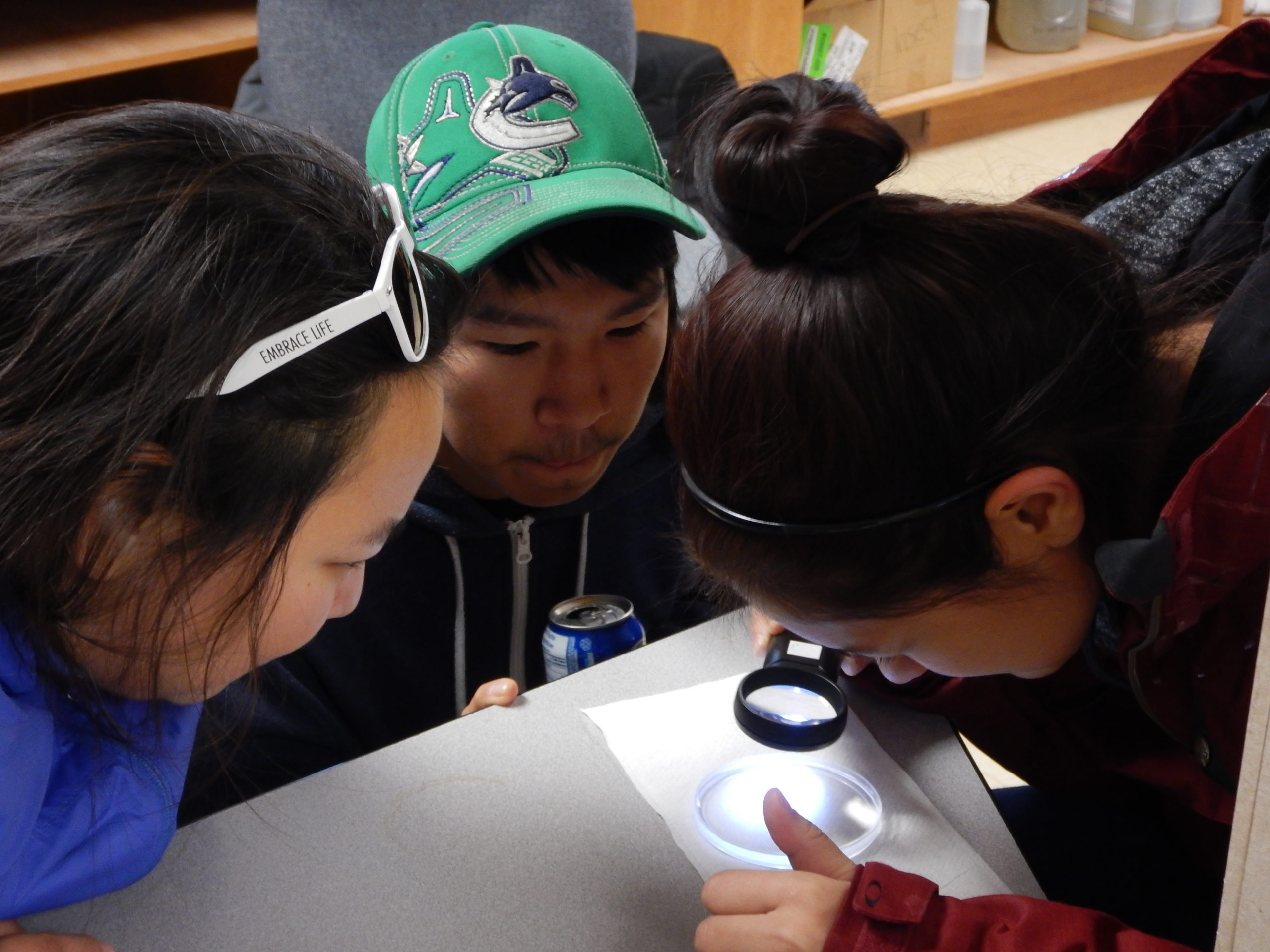 Jennifer Ullulaq, Jamie Ihakkaq and Jasmine Tiktalek examine plankton collected on the Cambridge Bay shoreline as part of the Ikaarvik program. 