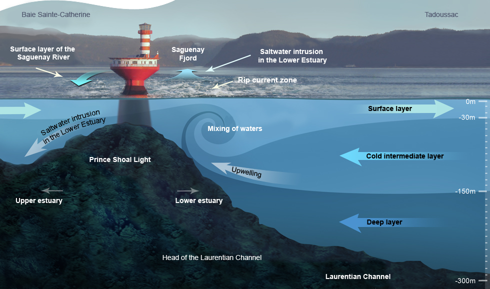 Where Rivers Meet the Ocean - Ocean Wise