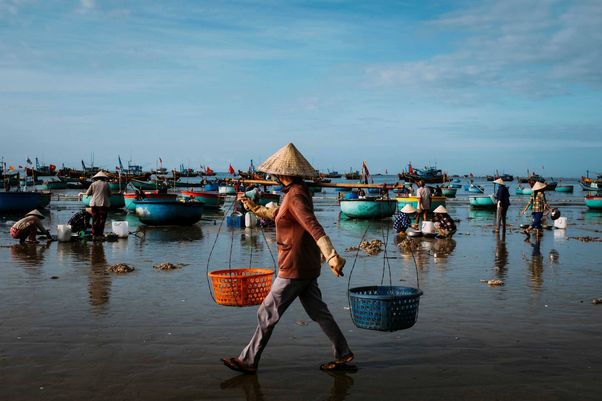 Transforming small-scale fisheries