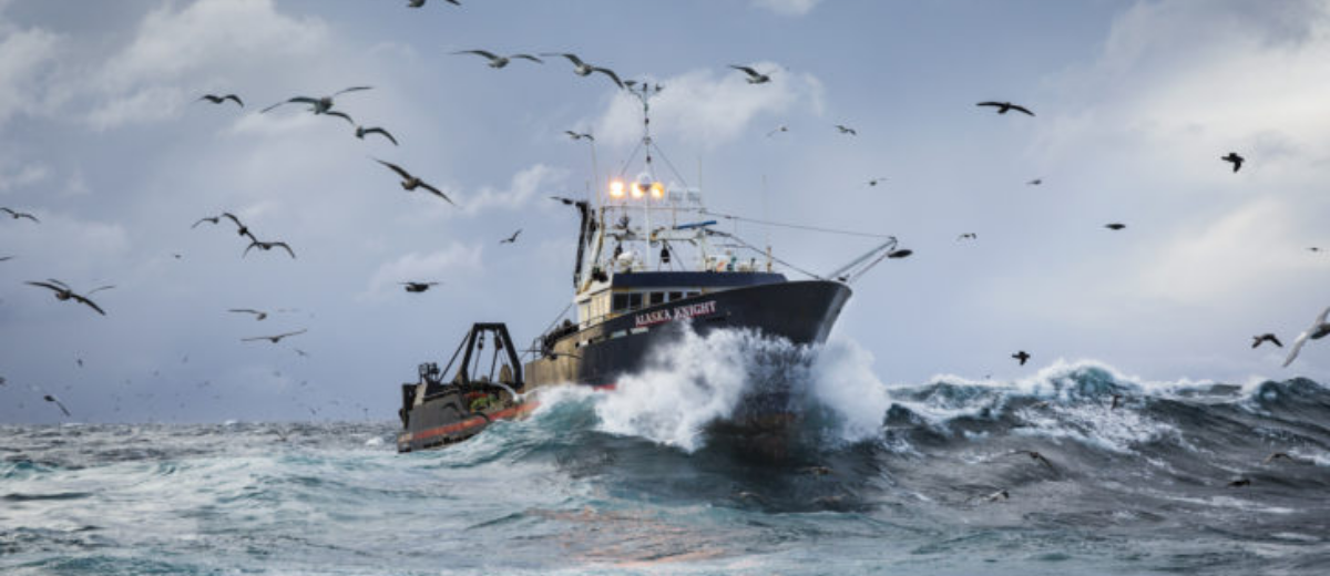 Océan : pour une pêche et une aquaculture durables