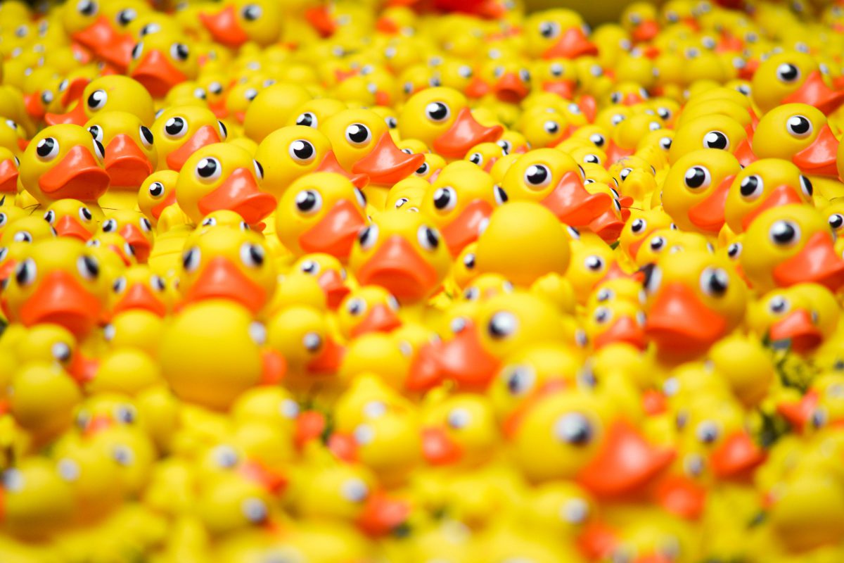 Lot of store rubber ducks