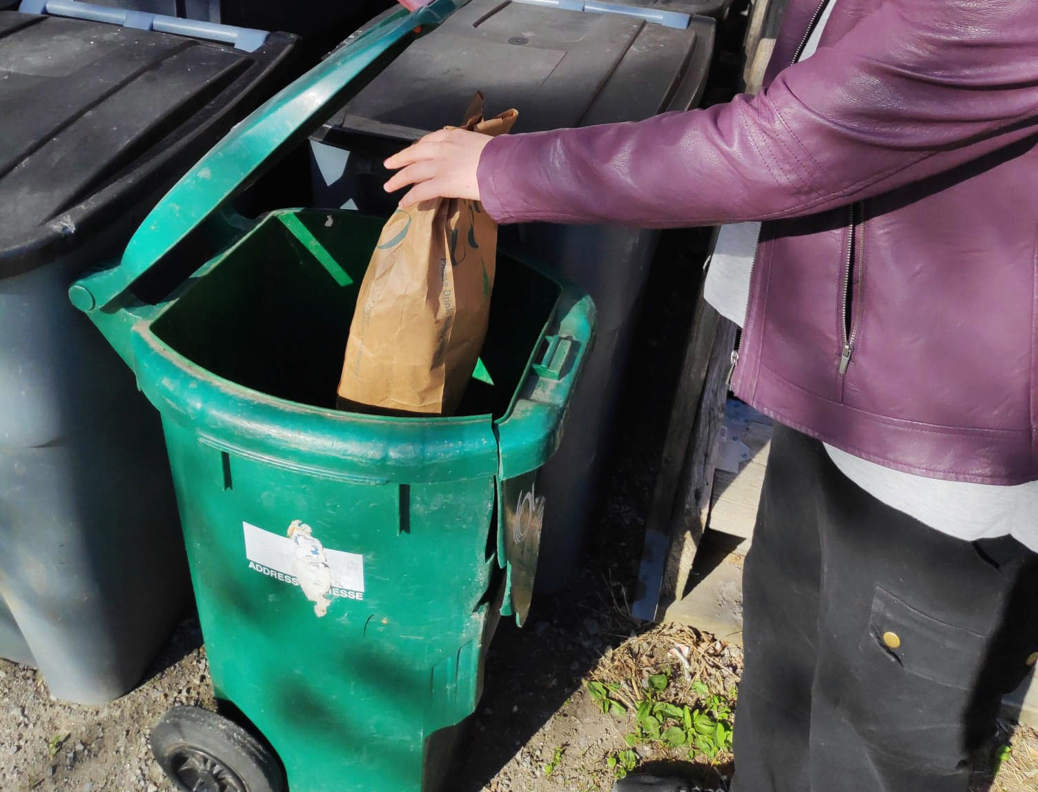 does dog poop go in the green bin toronto