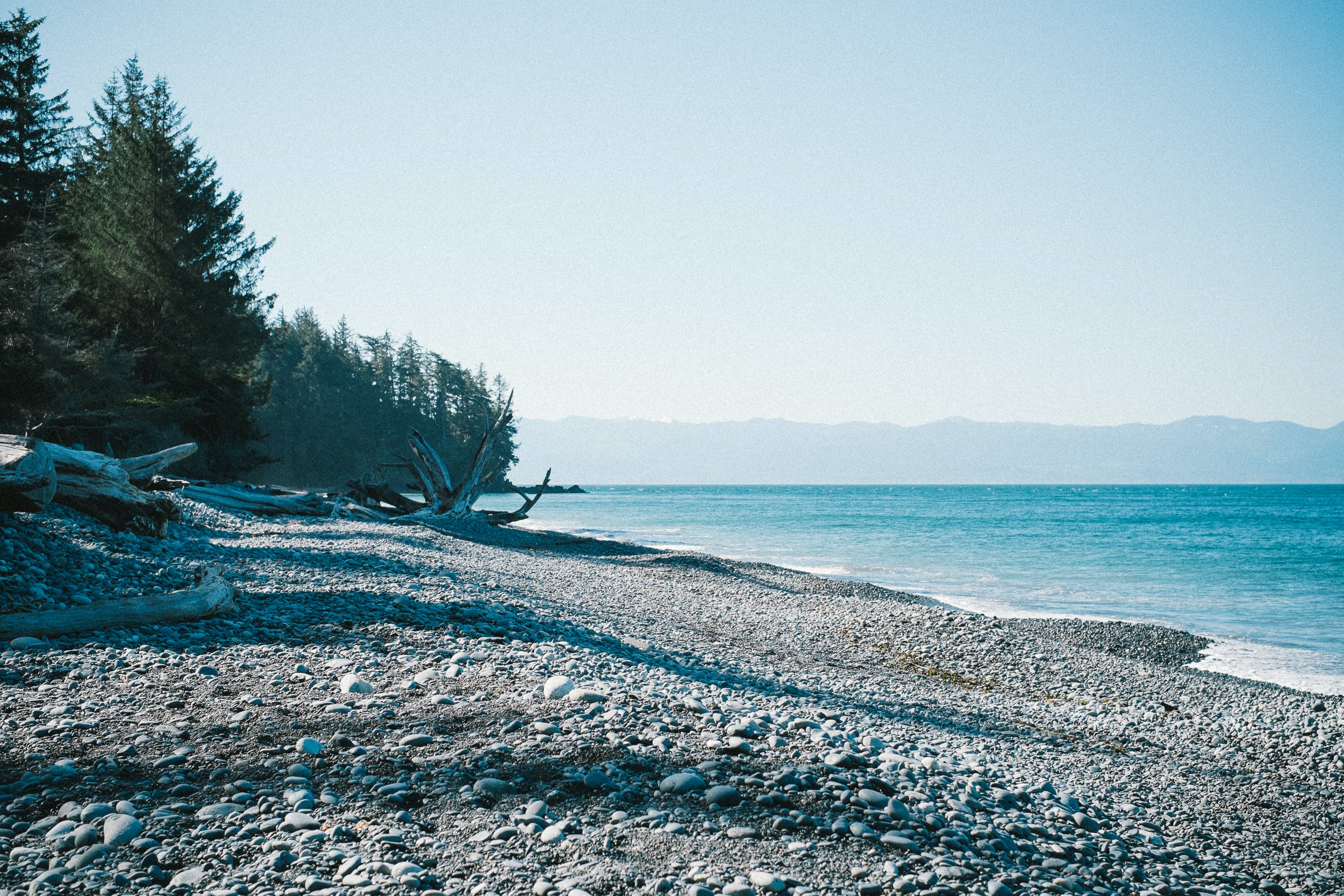 Fish Traps of the Northwest Coast — Sea Gardens Across the Pacific