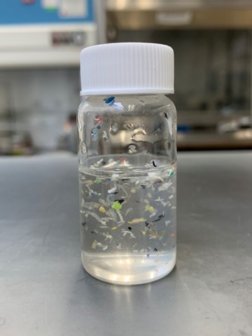 https://ocean.org/app/uploads/2022/05/Plastic-micro.jpg