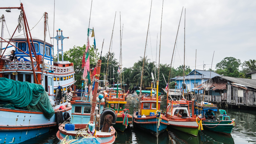 Good waste management in fishing harbours can prevent ocean