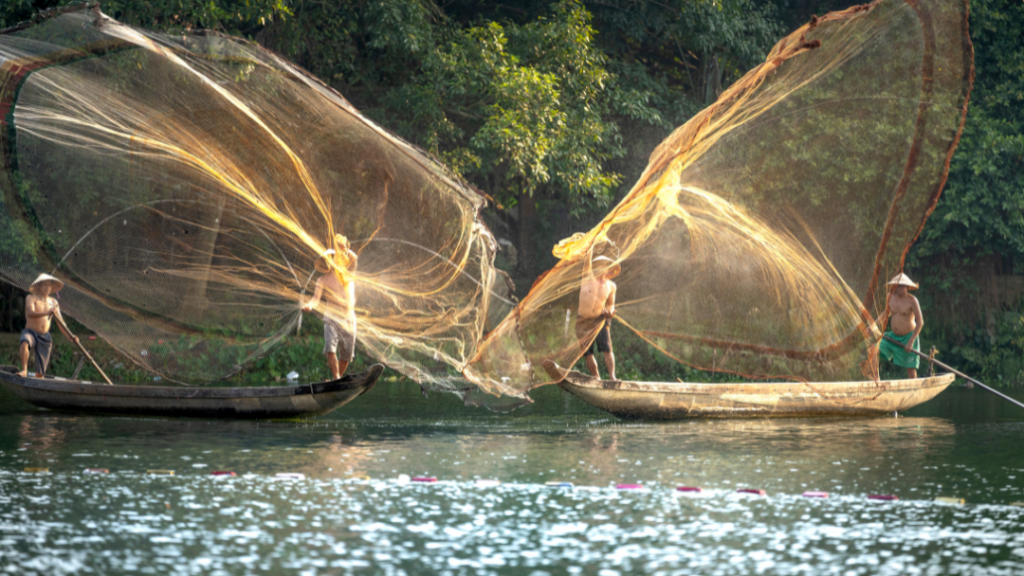 Pêche et aquaculture