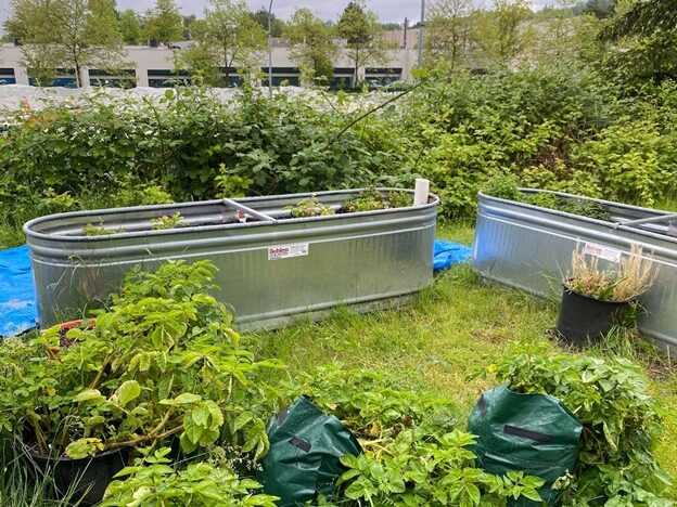 The outdoor garden metal self-watering bins by Casey Lo. YouthToSea Alum Wins Environmental Award.