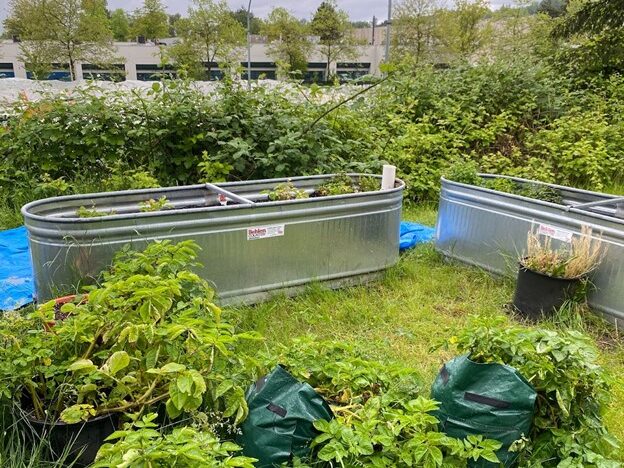 Les bacs métalliques auto-arrosants du jardin extérieur par Casey Lo. Un ancien de Jeunesse pour l'océan remporte un prix de l'environnement.