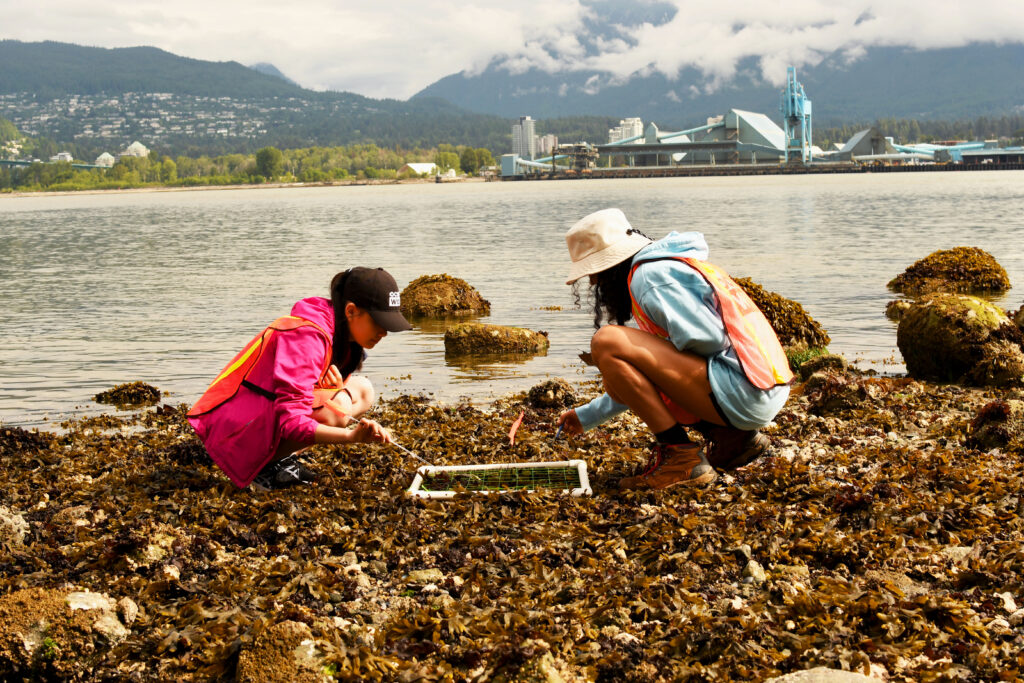 Two participants are at the shoreline collecting data.