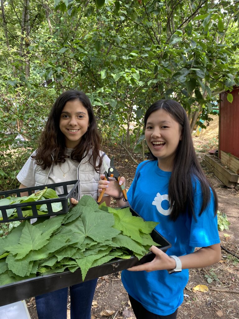 Two students hold leaves they have picked from the garden.